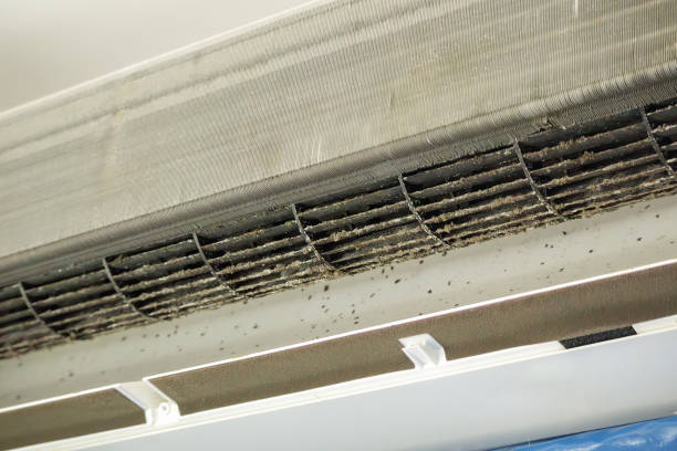 Best HVAC System Cleaning  in Port Allen, LA