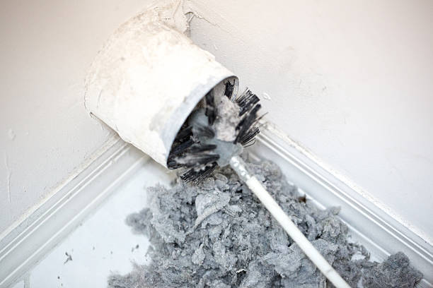 Best HVAC Duct Inspection Services  in Port Allen, LA